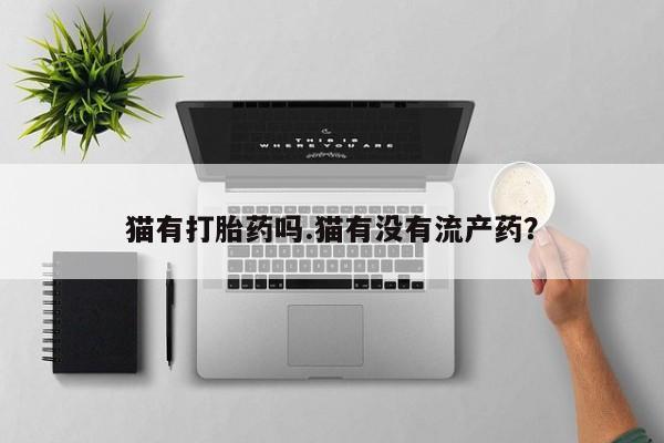 正品打胎药微信购买方式猫有打胎药吗.猫有没有流产药？